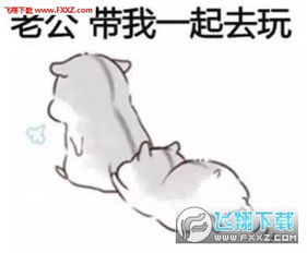 hamham仓鼠表情包老公版哄老公专用仓鼠表情包完整版下载飞翔下载