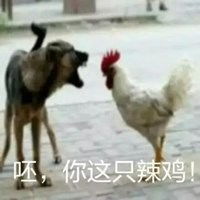 关于鸡的表情包微信头像图片大全