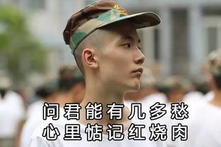 军训被做成表情包,分分钟扔去斗图是怎样的画面