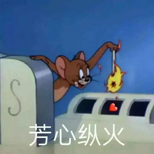 有哪些适合学生关注的公众号