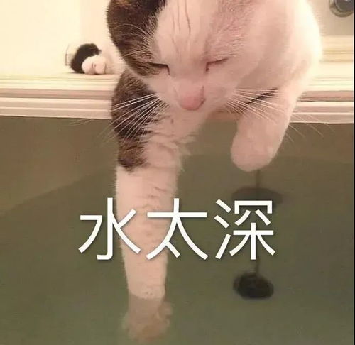 15个方法提高基础代谢率,照着做,人人都能养成易瘦体质