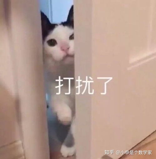 女生主动表白好吗