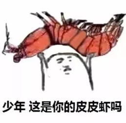 皮皮虾我们走刷屏这海鲜界网红到底是什么鬼
