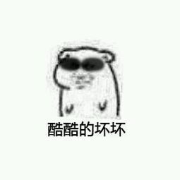 贼坏坏表情包高清版