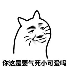 意境美图动物大海搞笑gif暴走漫画堆糖,美好生活研究所