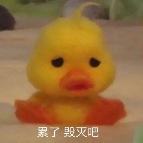 小黄鸭表情包