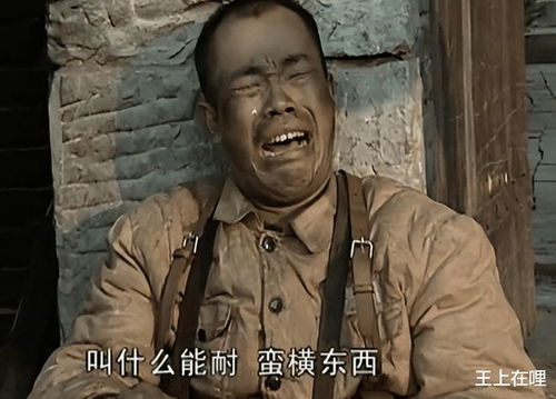 亮剑王有胜表情包高清