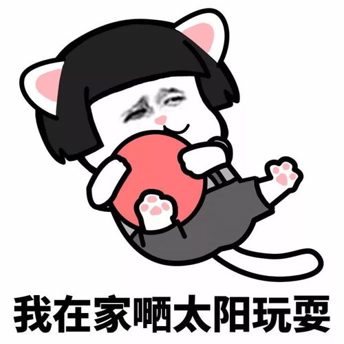 论幸福,女人是比不过猫的