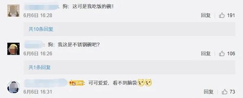 戴头盔的汪星人火遍全网,惊动了网警