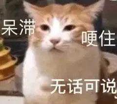 相似度99的明星脸素人合集这一个个真的不是本人吗