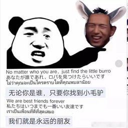 他才刚红就要凉了