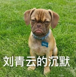 史上最全明星迷迷迷迷迷之微笑