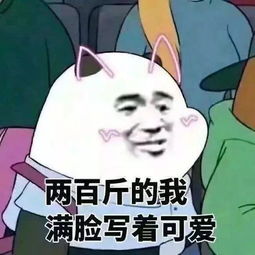 老王的美国生活日记大神教科书式教你如何在美考驾照