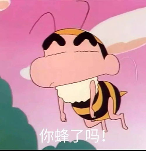李现从此以后,每个表情包主人公都有了脸