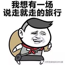 放假拖家带口去旅行太累这个五一,你可以试试这样
