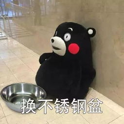 表情包收对象,换盆