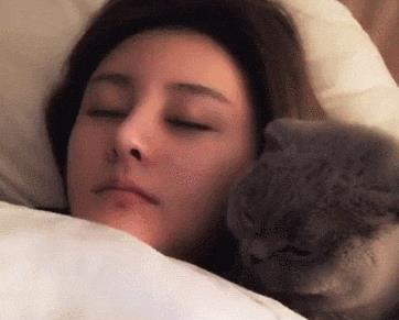 男主人回家发现媳妇跟猫睡了,看到猫咪露出的表情,瞬间想回娘家