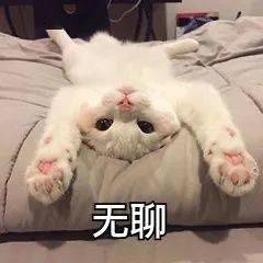 适合性格阳刚猛男使用的表情包