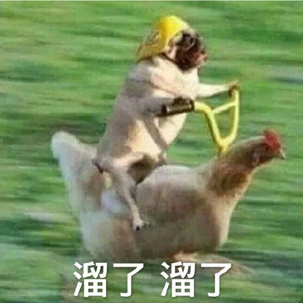 我在哪儿表情包表情包