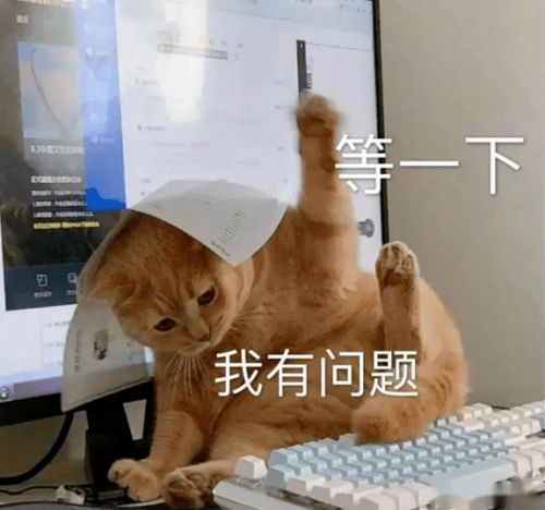不要在错误的学习方法上狂奔