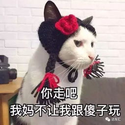 别听老司机忽悠,临时牌照这么用才是对的