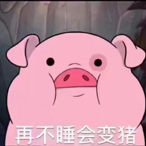 当下中国最火的夜店类型网红夜店
