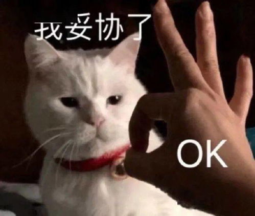 杀不尽的槟榔广告,终于被禁了