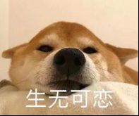 解放了图片表情包表情包