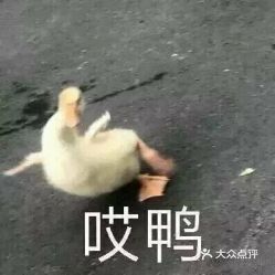 电话,地址,价格,营业时间图昆山美食