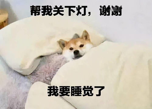 孩子春天总犯困,当心成为小矮子