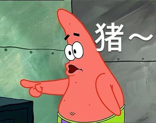 海绵宝宝表情包拒绝和傻x交谈