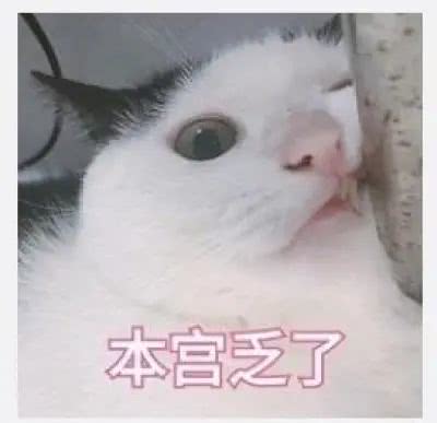罗志祥出轨多人陈柏霖爱泡夜店约网红可别被这些玩咖的假人设给骗了
