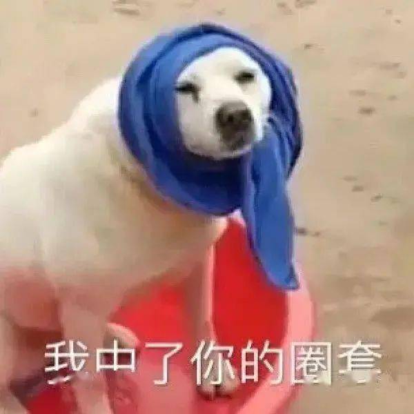 超级搞笑的沙雕表情包