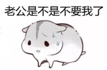 哄老公专用仓鼠表情包