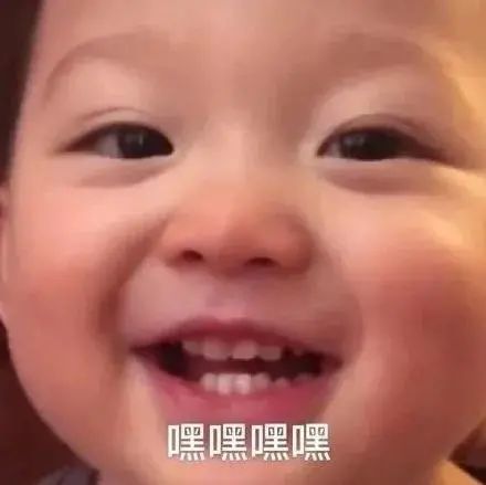 表情包这么胖了还吃