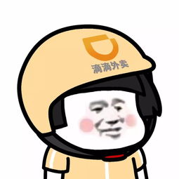 表情丨谁还没个头盔