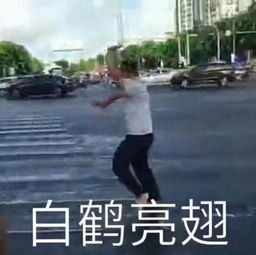 海口尬舞哥表情包,一言不合就尬舞网友可别模仿