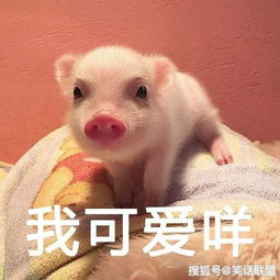笑话段子知道为什么文科生和理科生不好恋爱吗