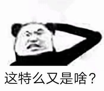 有没有小熊猫的表情包