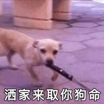 epic免费送出售价199元的神秘大作,网友狗都不玩