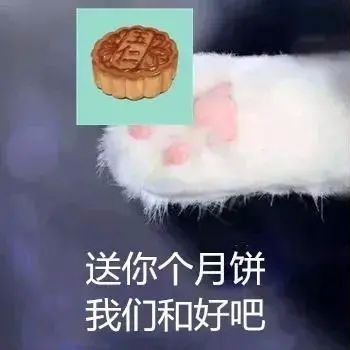 表情包中秋想和你一起赏月