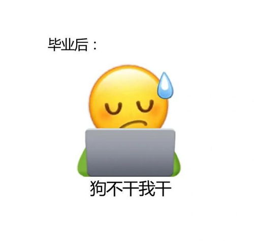 小趴菜可爱头像
