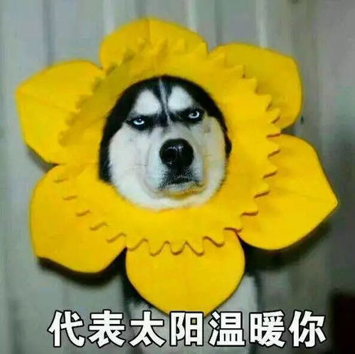 对不起,我们来晚了致健身爱好者的一封道歉信