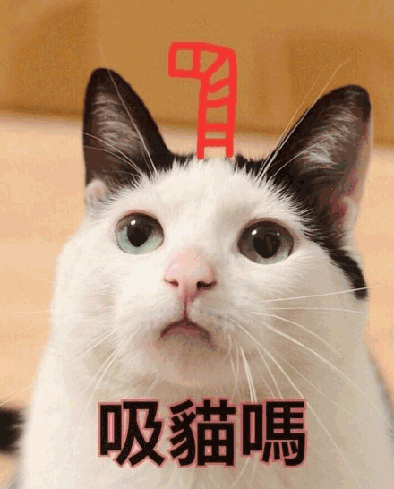 萌宠表情包在吗吸猫吗