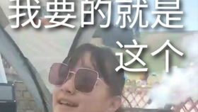 芭比和小伙伴