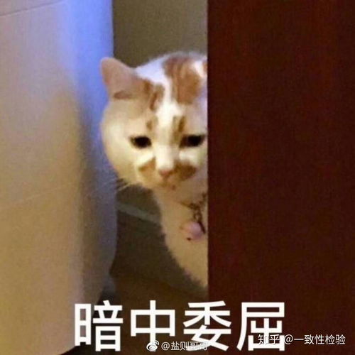 如何评价国版比悲伤更悲伤的故事