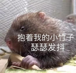 从未见过如此丧心病狂的吃货理由良心不会痛吗哈哈哈哈