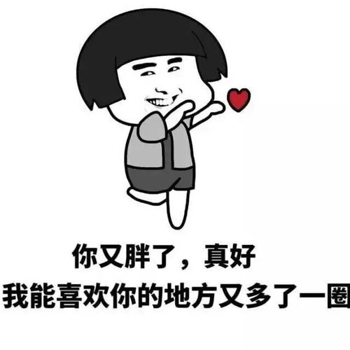 意境美图动物大海搞笑gif暴走漫画堆糖,美好生活研究所