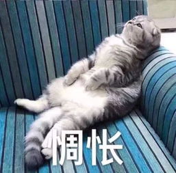 向干燥sayno全能补水神器你值得拥有