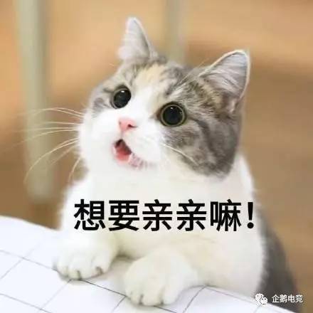 下雨了送你回家表情包王者荣耀